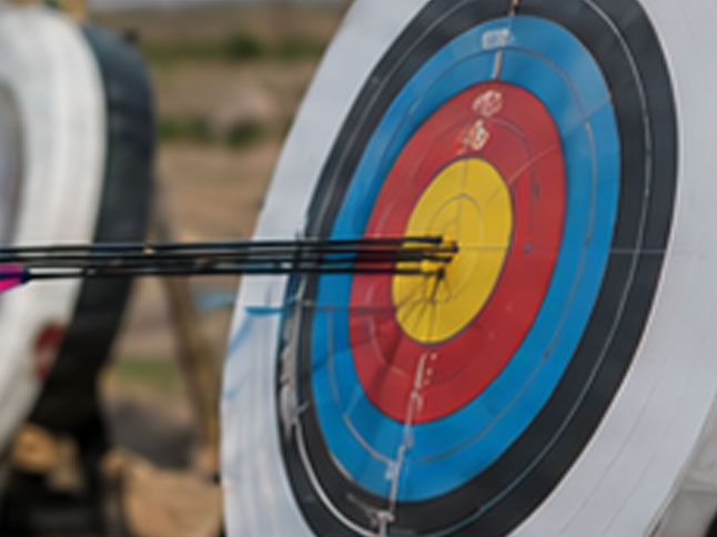 Arrows in target